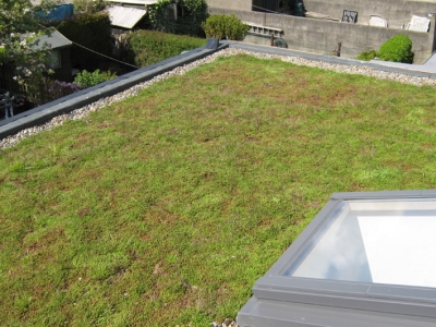 Port Mahon Drive post-construction grass roof