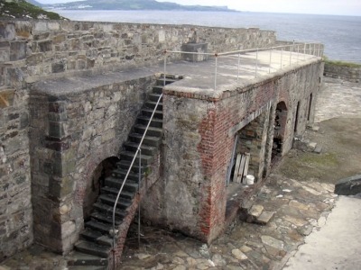 Pre-purchase Condition Reports & Commercial feasibility report